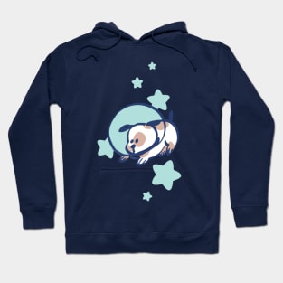 Space Pup Hoodie